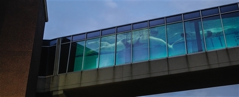 The-Swimmer-image-cropped.jpg