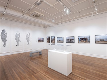 A photo of the gallery, displaying a range of artworks: screenprints of fish on fabric, photographs in frames, and a glass sculpture in a vitrine. 