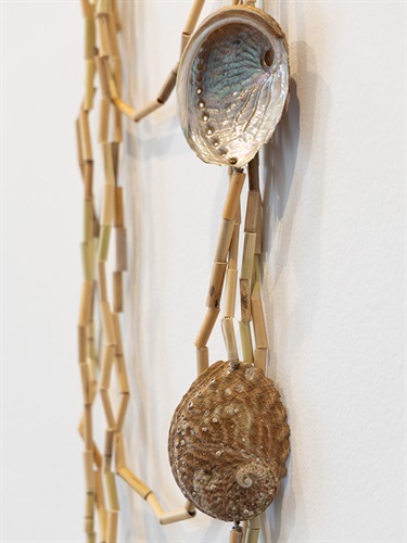A close-up photo of a river reed necklace, hung on a gallery wall, featuring two white abalone shells attached to necklace