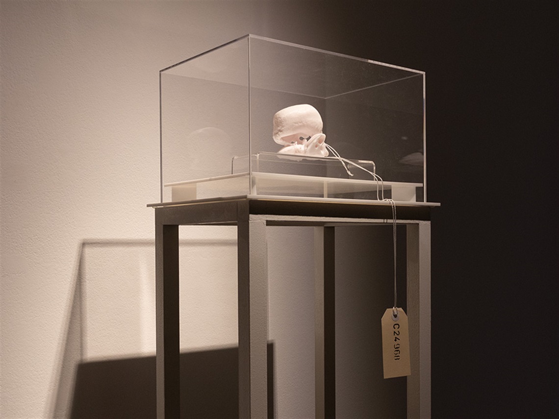 A photo of a sculpture that resembles a whale bone, inside a clear acrylic case, on a stand against a white wall. 