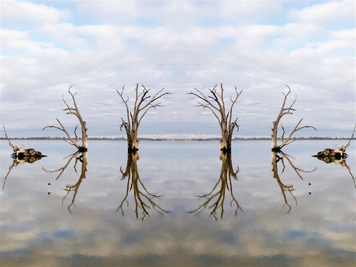 a photo of tree trunks reflected in water, with blue sky and clouds above, reflecting on the water below. The image is mirrored like a Rorschach.
