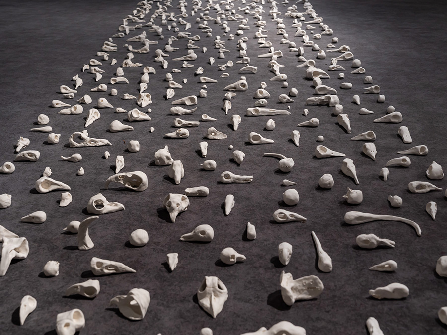 A photo looking down on hundreds of small white sculptures resembling bird skulls, lined in rows on a black, carpeted floor