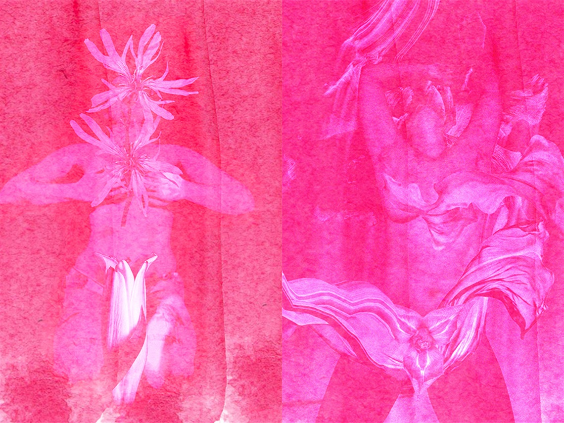 A photo of two digitally manipulated images, side by side, depicting women's bodies covered by flowers. Both images are all in bright pink tones.