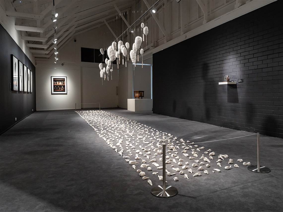 A photo of an installation in a gallery with hundreds of small white sculptures lined along a black carpet floor, suspended white objects from white ceiling, and framed art prints on the black surrounding walls