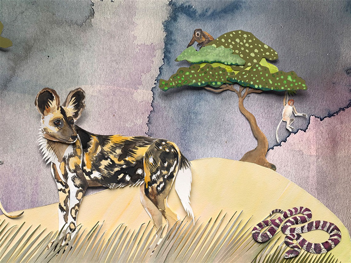 photo of cut-outs of watercolour collages assembled together of animals on grassy plains and in trees against a dark, grey watercolour background