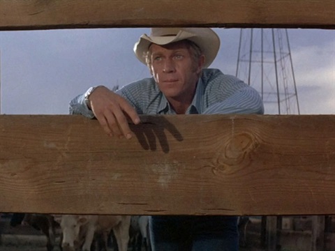 A man wearing a cowboy hat stands behind a fence with cows
