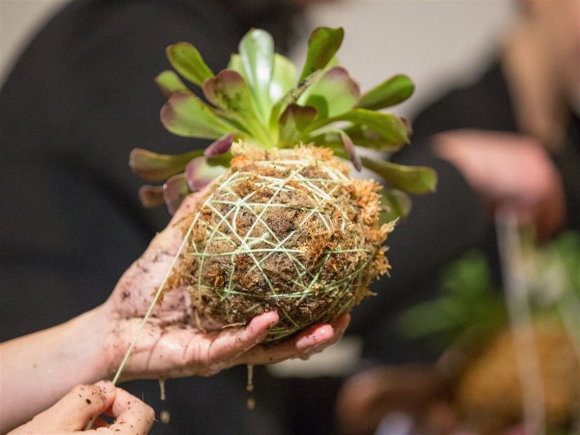A hand holding a succulent plant contained in a string-wrapped moss ball 