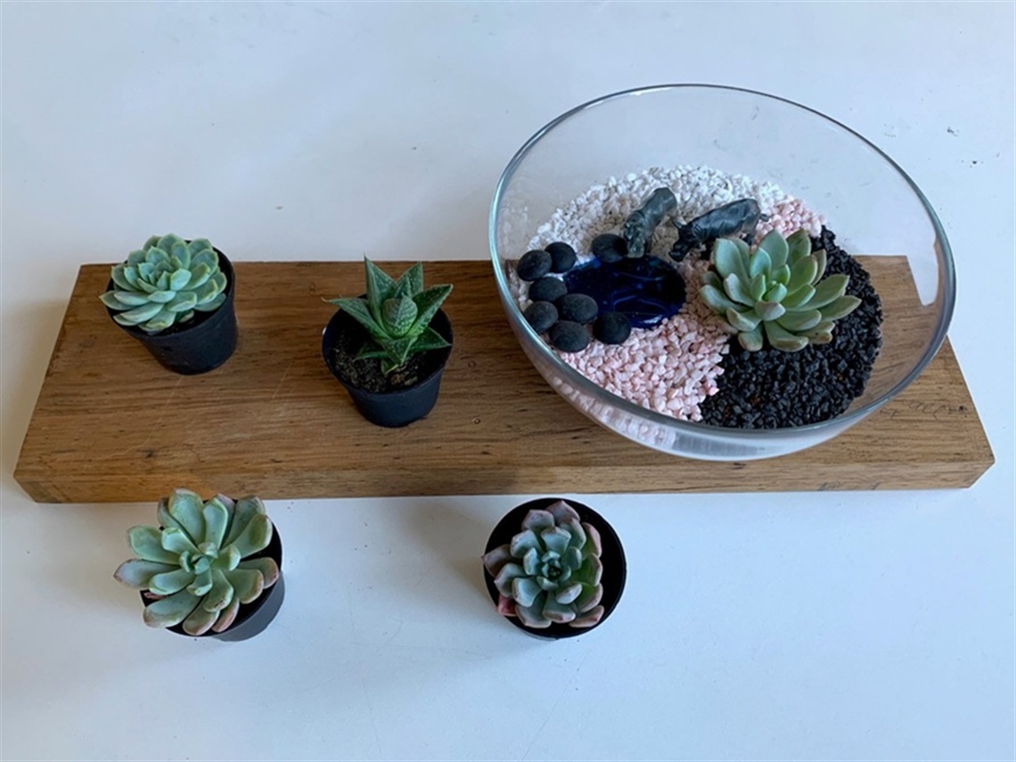 Four small succulents and a larger bowl containing rocks and succulents on a wooden board