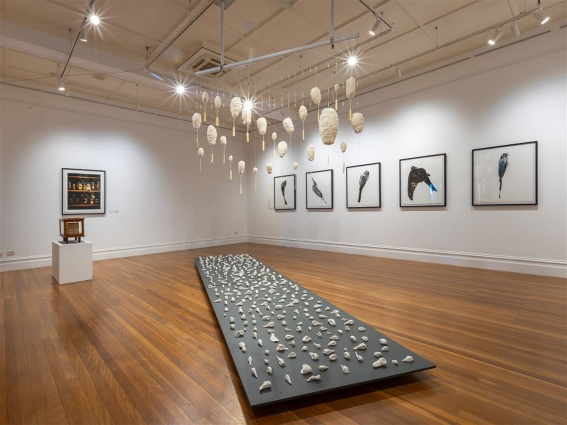 An exhibition space with six framed colour photographs on white walls, a sculpture on a small upright white plinth, various very small sculptural items on a long low charcoal gray plinth in the middle of the wooden floored room and various cream-coloured organic shaped items hanging directly above